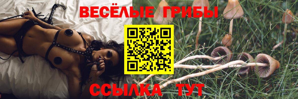 хочу наркоту  Вход с VPN  Кыштым  Галлюциногенные грибы Magic Shrooms 
